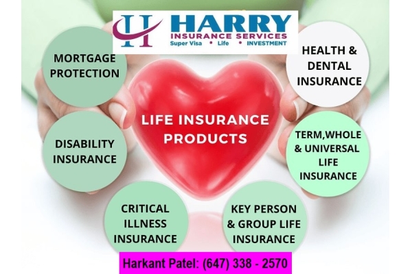 Live Biz Card