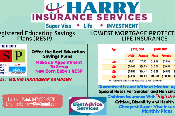 Live Biz Card